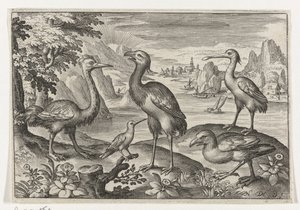 Crowned Crane Between Two Ostriches by Nicolaes de Bruyn