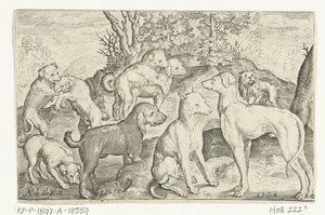 Nine Dogs
