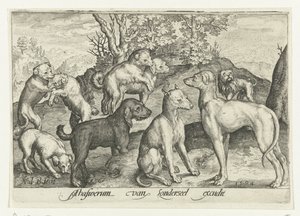 Nine Dogs