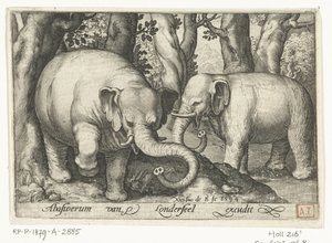 Two Elephants by Nicolaes de Bruyn