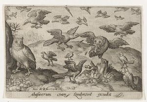Owl with Prey Attacked by Other Birds (series: Birds and Insects) by Nicolaes de Bruyn