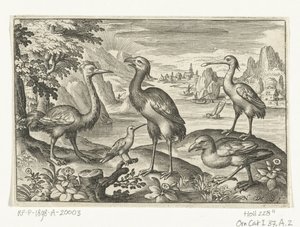 Five Birds Including Spoonbill