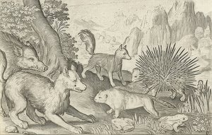 Wild Boar, Foxes, Beavers, Porcupine and Frogs. 1621