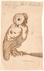An Owl by Nicolai Abildgaard