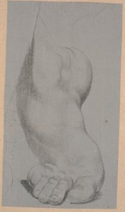 Study of a Foot