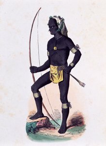 Vanikovo Native