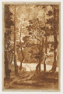 A Path Leading into a Forest Clearing