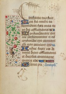 Decorated Text Page by Nicolas Spierinc