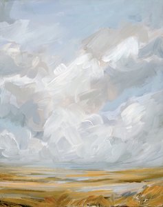 Expansive Cloudscape Landscape by Nicole Walsh