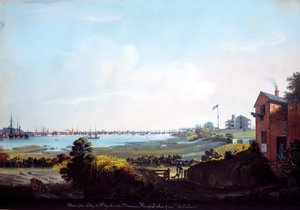 View of the City of New York and the Marine Hospital Taken from Wallabout by Nicolino Calyo