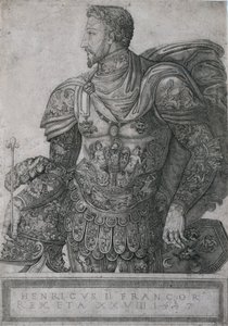 Henri II, King of France, at the age of 28 by Nicolo della Casa