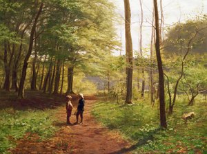 A Walk in the Forest