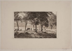 The Avenue