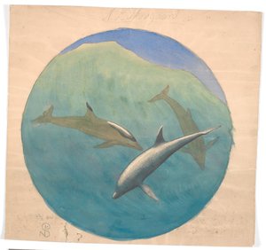 Jumping Dolphins