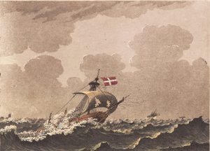 A Damaged Ship, Signaling Loots
