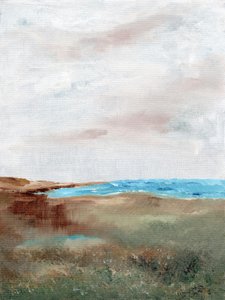 Serene Beach Landscape
