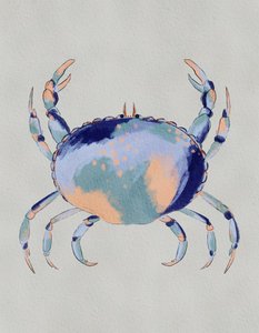 Serene Blue Crab