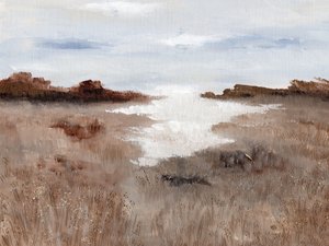 Serene Marsh Landscape