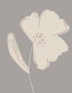 Soft Blush Bloom by Nikita Jariwala
