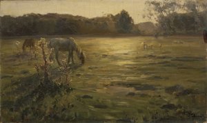 Horses on the meadow