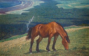 Grazing Horse by Nils Kreuger