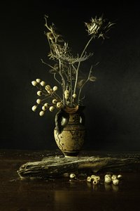 Earthy Botanical Still Life by Noam Mymon