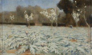 Artichokes, Hyeres