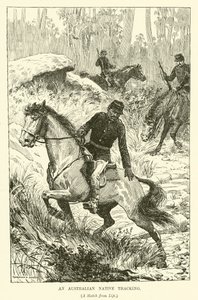 An Australian Native Tracking by Norman Hardy