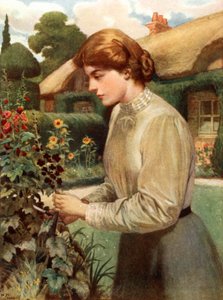 An English Girl