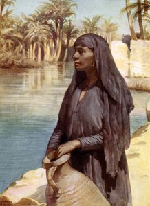 Egyptian Woman by Norman Hardy