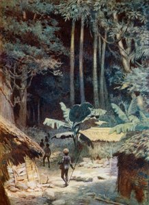 In the Depths of a Melanesian Forest by Norman Hardy