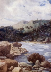 The Rapids, Williams River, Island of Eromanga, New Hebrides by Norman Hardy