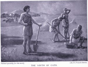 The youth of Cato by Norman Prescott Davies