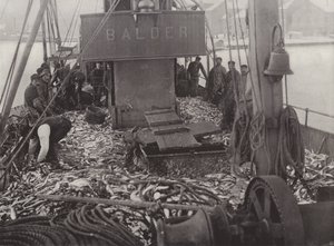Winter Herring Fishery by Norwegian Photographer