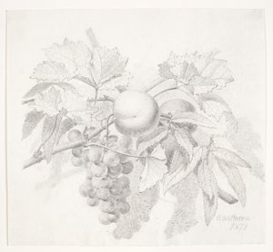 Grapes and Peaches by O.D. Ottesen