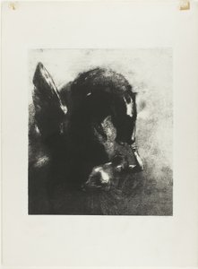 Captive Pegasus