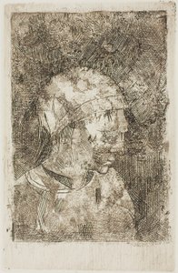 Head of a Young Girl
