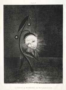 Homage to Goya: The Marsh Flower, a Sad Human Head by Odilon Redon