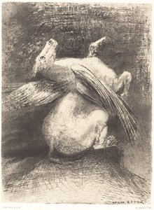 The Impotent Wing Did Not Lift the Animal into That Black Space