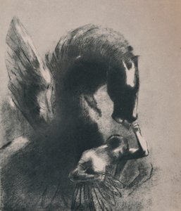 Pegasus Captive