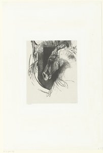 Warhorse