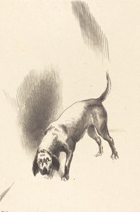 The Dog by Odilon Redon
