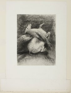 The Impotent Wing Did Not Lift the Animal Into That Black Space, plate 7 of 8 from Les Origines