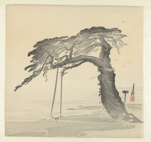 Old Pine Tree by Ogata Gekko