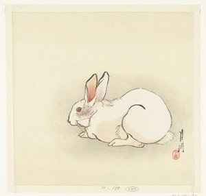 White Rabbit by Ogata Gekko