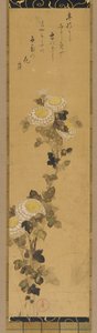 Chrysanthemums by Ogata Kenzan