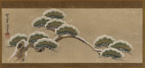 Snow-laden Pine Boughs