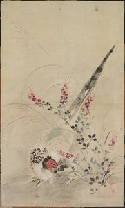 Pheasant and Grasses by Ogata Korin