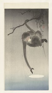 Monkey and Reflection of the Moon