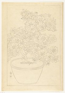 Blooming Azalea in Pot by Ohara Koson